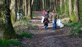 Cette ville de l'Essonne organise « un nettoyage citoyen des bois